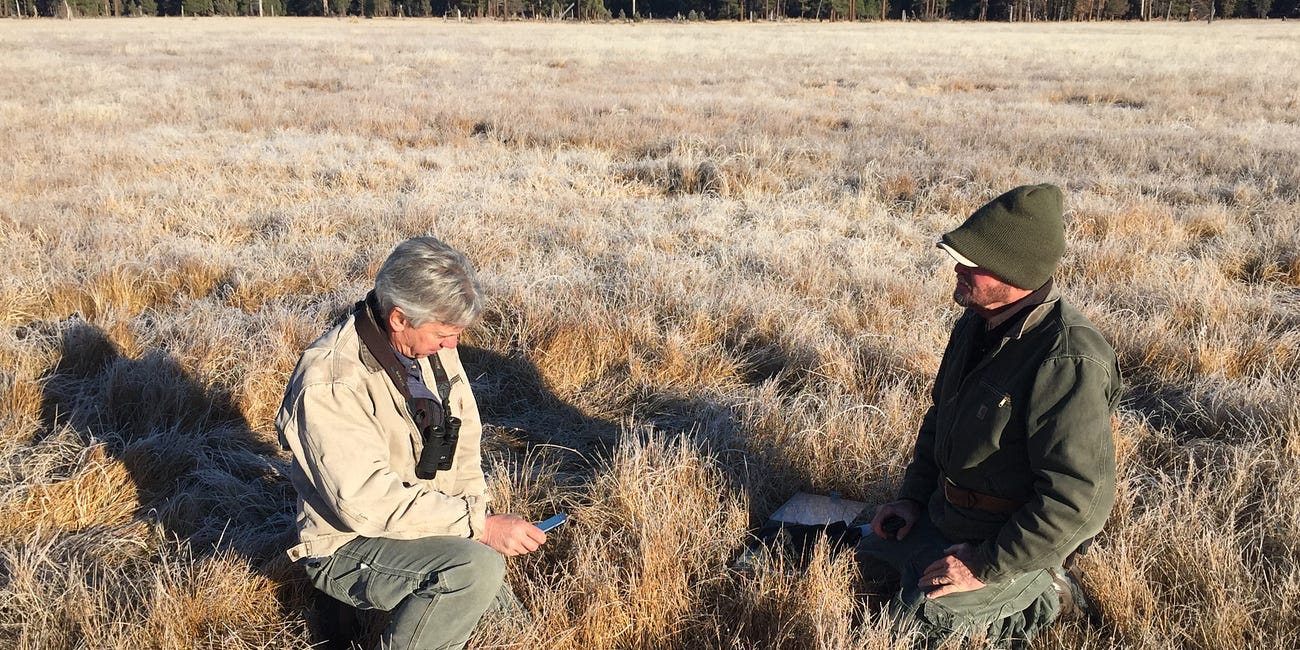 Thrown to the wolves: California ranchers under siege