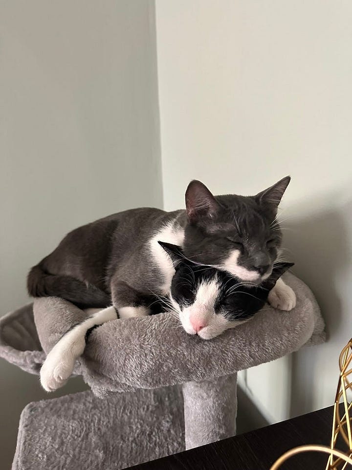 The Decoding AI Magazine Team