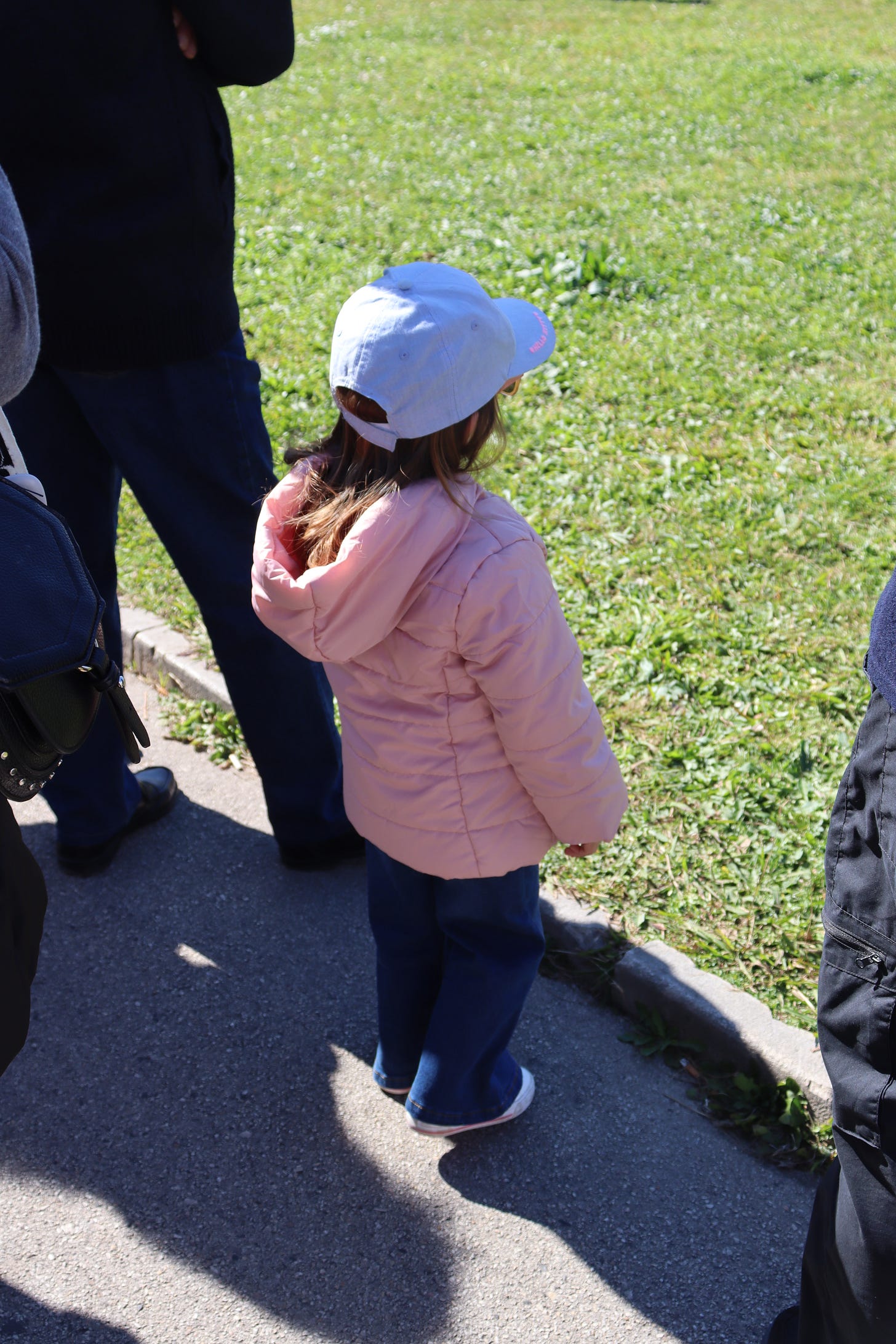 Little girl looking at horses. Little girl looking at horses.