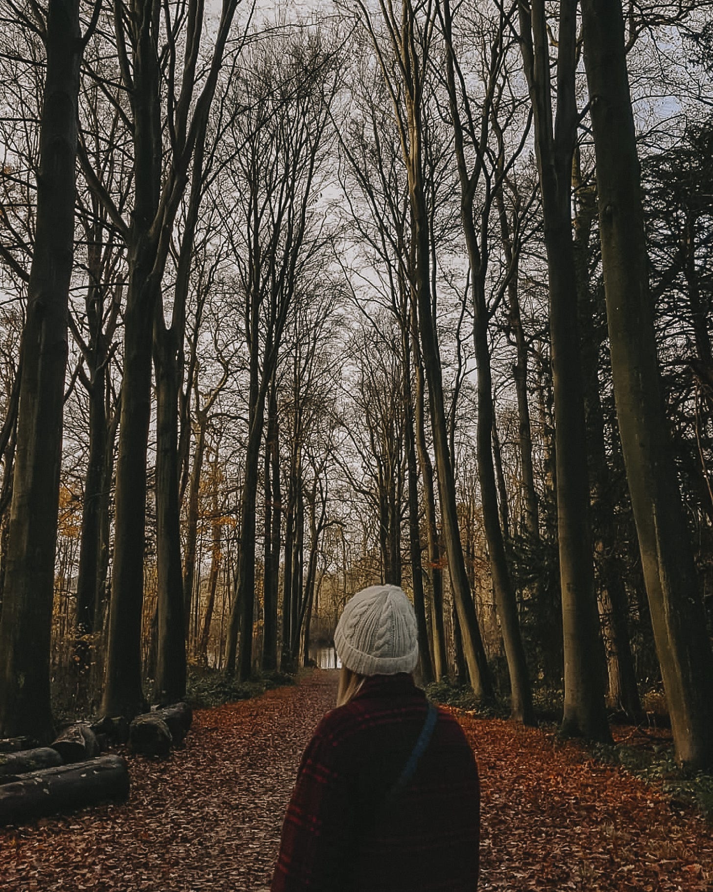 A person (me) standing in a forest during autumn with their back to the camera, looking towards the horizon. The ground is covered in orange leaves, and the person is wearing a white beanie, a black-and-red checkered jacket, with blond hair peeking out beneath the hat.