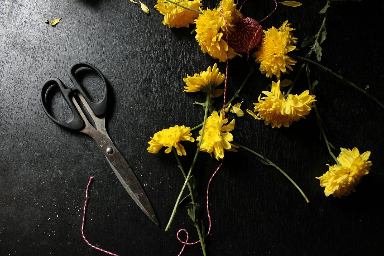 scissors2.jpg scissors2.jpg