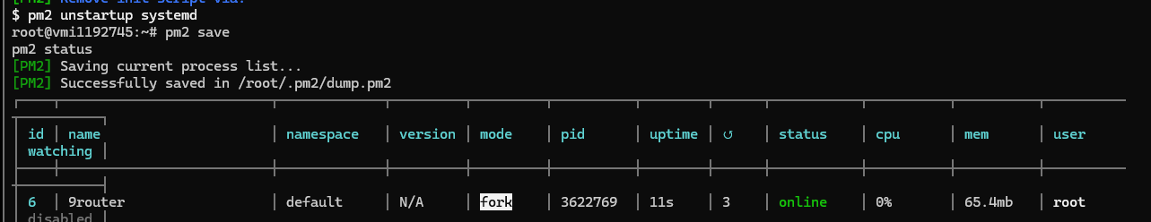 PM2 status after starting 9Router. PM2 status after starting 9Router.