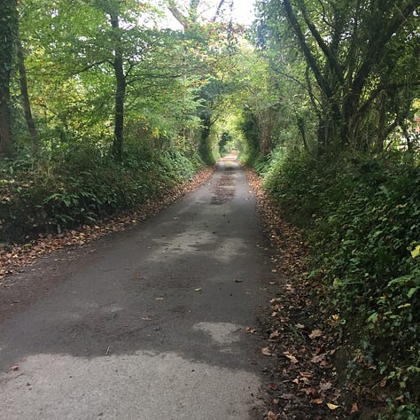 Caminos rurales de Pembrokeshire, con altas cercas verdes que, en algunos tramos, se cierran y convierten el camino en un túnel.