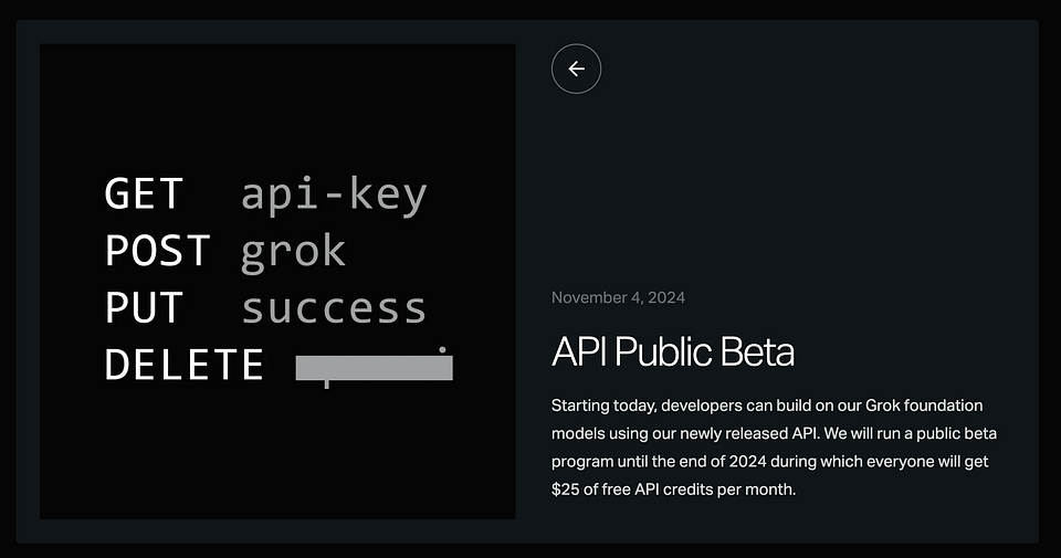 Newsletter artwork for “How to Build AI Agents Using Grok API”