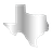 The Texas Voice