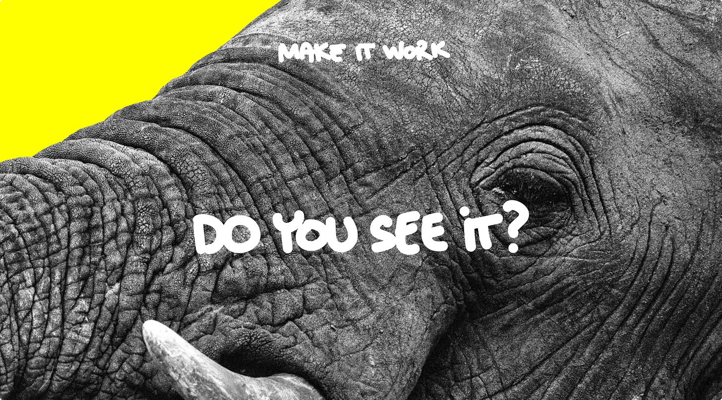 Close-up black-and-white photo of an elephant’s face on a yellow background with the text ‘Make It Work’ and ‘Do you see it?’