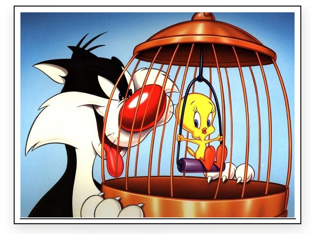 image 11.png image 11.png