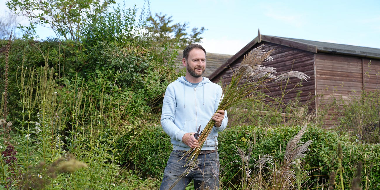 Tomatoes, drying grasses, autumn raspberries, chamomile tea 