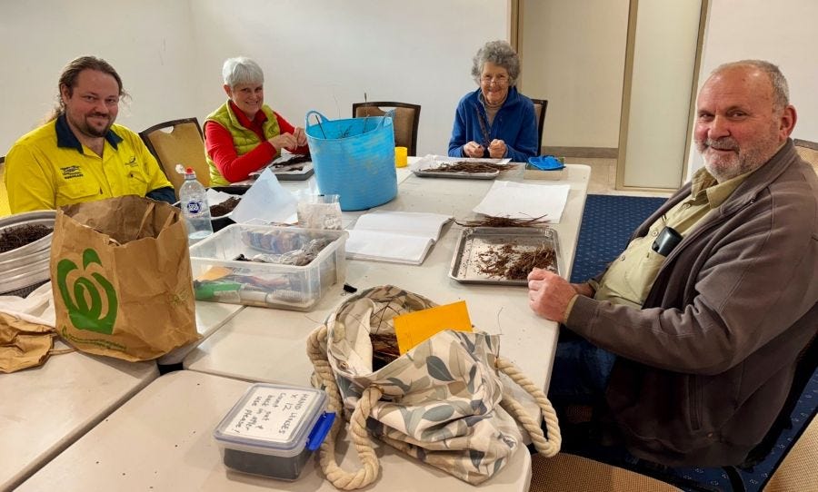 The Bushcare Seed Collectors Group in the Blue Mountains