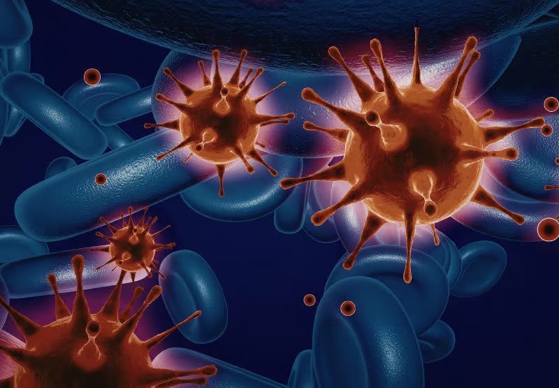 immune cells interacting with each other immune cells interacting with each other