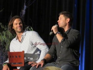 Comic Con and DCCon 2015 700