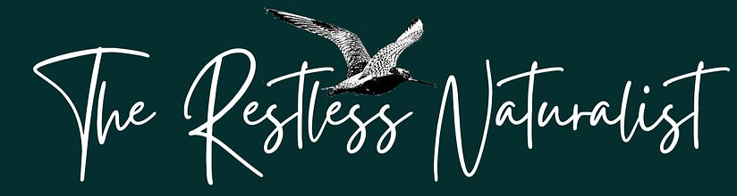 The Restless Naturalist