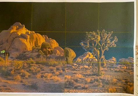 photos, sketches, drafts, and the final masterpiece showcasing Joshua Tree's beauty and mystery.
