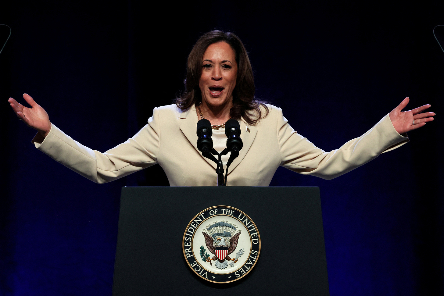 Who could replace Joe Biden? Kamala Harris is top choice, sources say |  Reuters