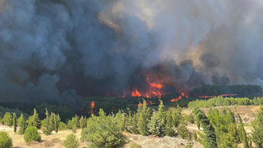 Wildfire in Turkey's northwestern city of Canakkale