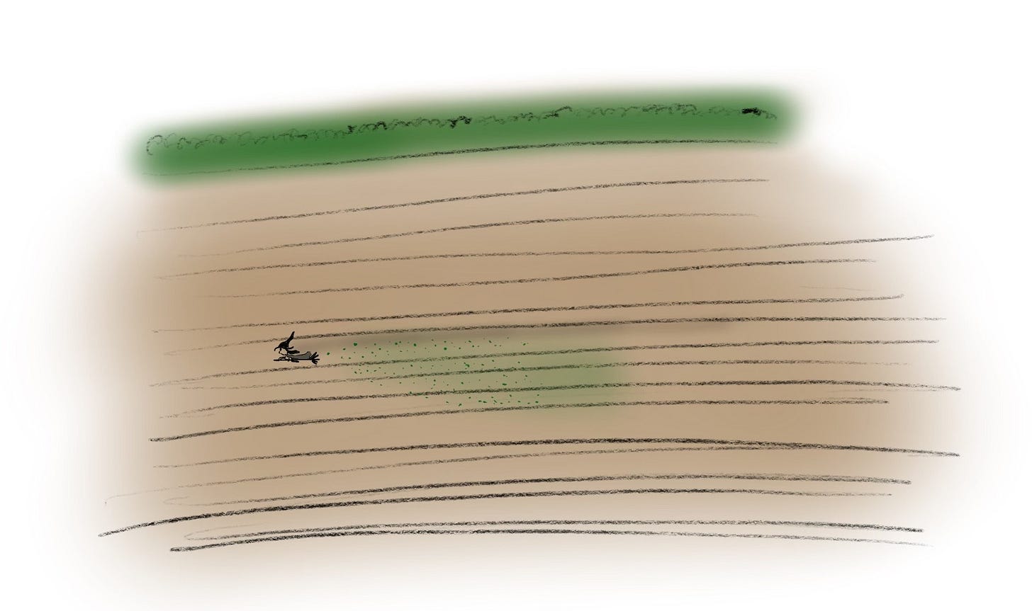 A witch flying over farmland dropping seeds