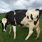 Gee, It Doesn't Seem Like This Raw Milk Thing Is Going So Well, Part 4,279,327,934