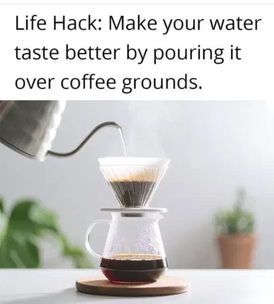 A metal gooseneck kettle pours steaming water through a white paper filter filled with dark wet coffee grounds into a glass carafe on a wooden coaster. Green potted plants sit nearby on a light surface, with a blurred background suggesting a kitchen setting.