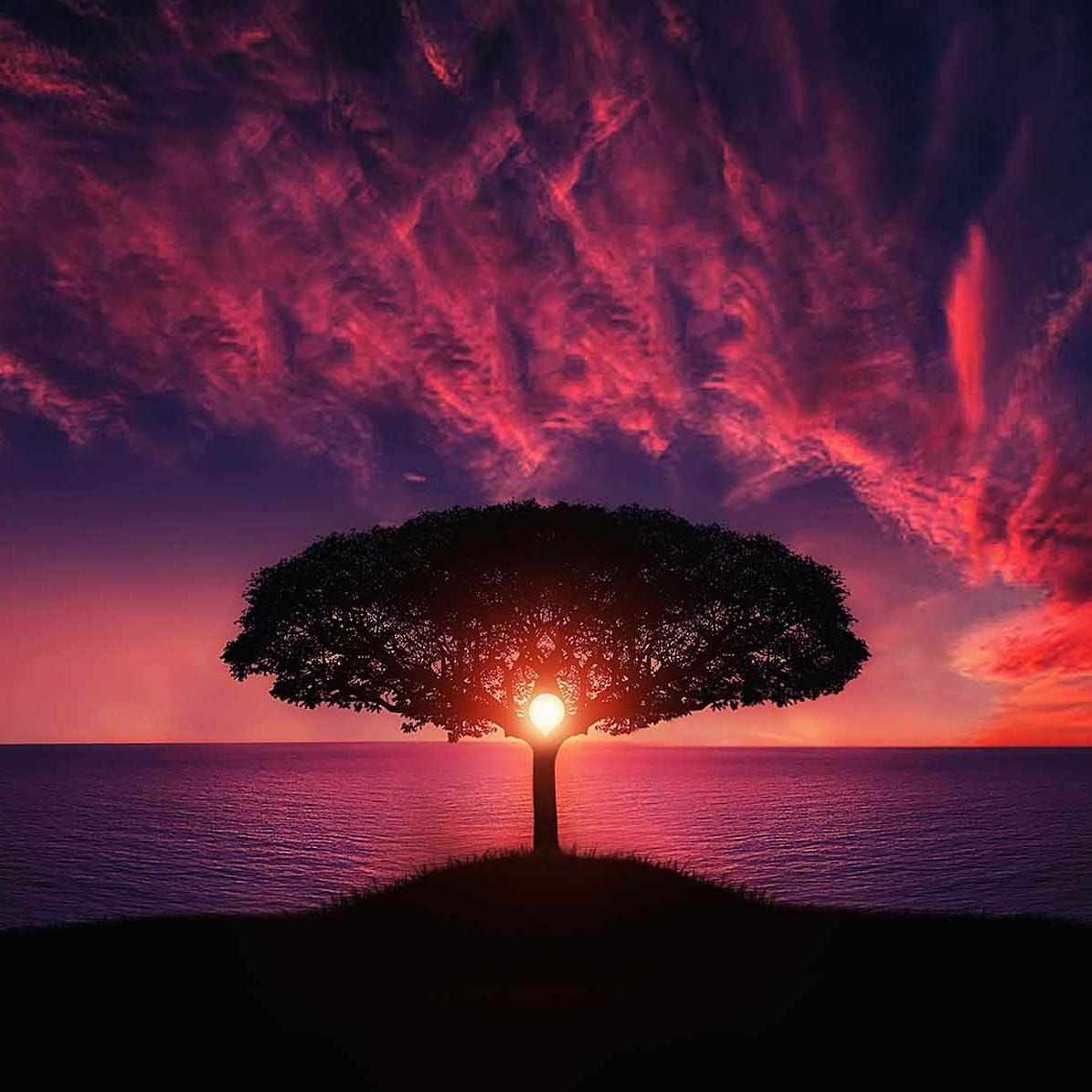A Wild Spirituality logo