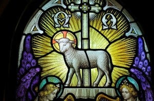 Jesus-lamb-of-God-5-e1378089981810