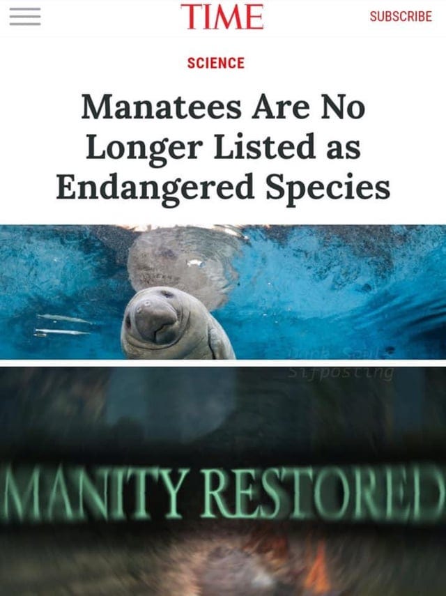 meme