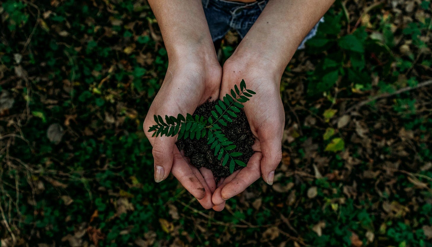 image: Mathieu Stern via Unsplash
