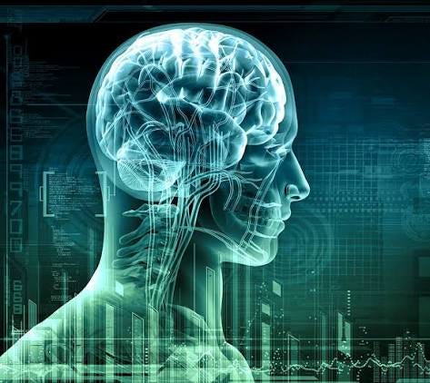 Nervous System, 3d, brine human nervous system, man, mind, HD wallpaper | Peakpx