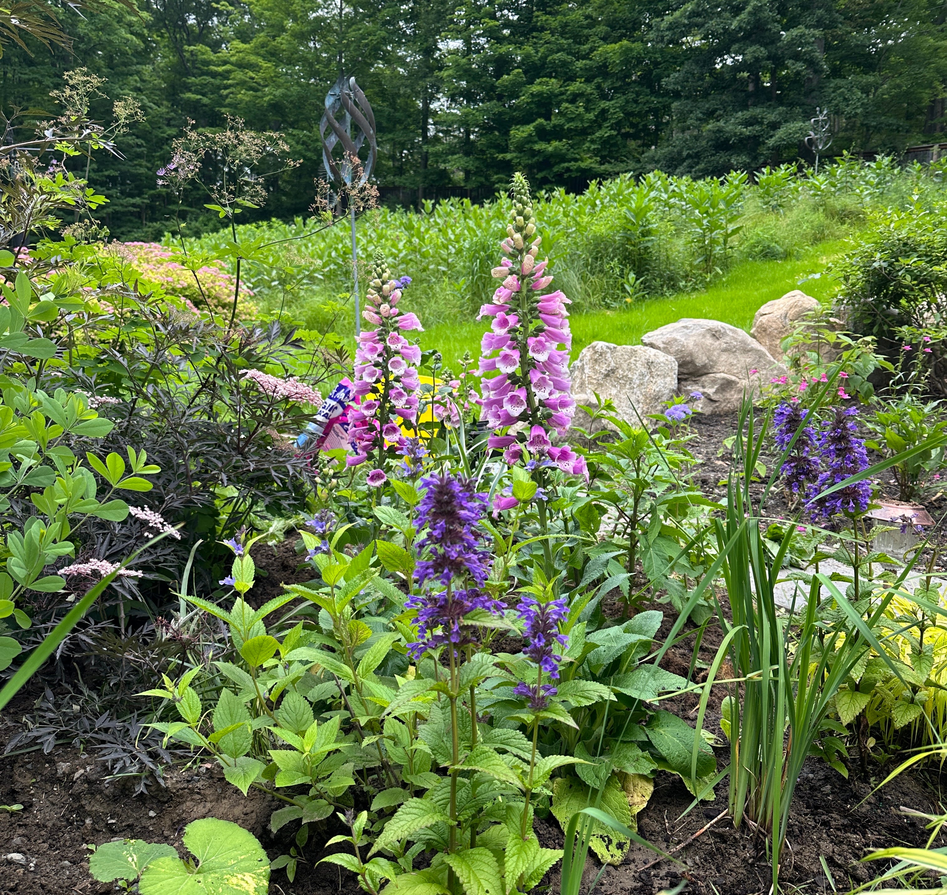 Gardening Is My Body Liberation