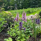 Gardening Is My Body Liberation