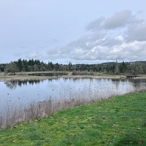 Tualatin reserve, State of Oregon, Cherry Blossoms