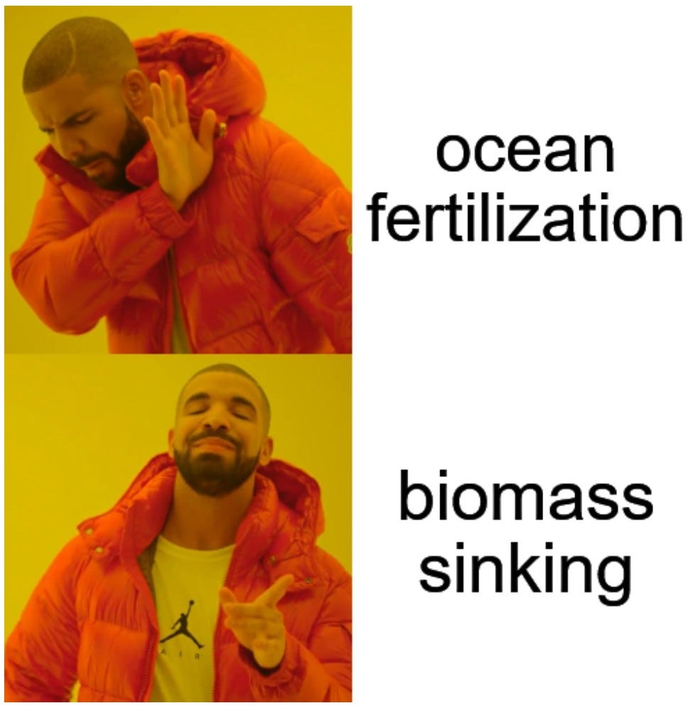 Drake Hotline Bling meme. Top, Drake turns away from "ocean fertilization". Bottom, Drake smiles and points at "biomass sinking".