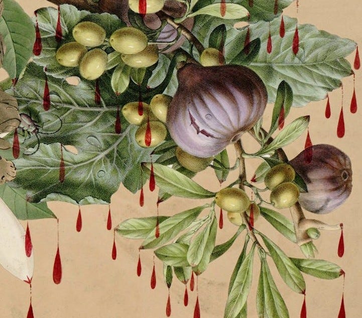 blood dripping from figs and grapes