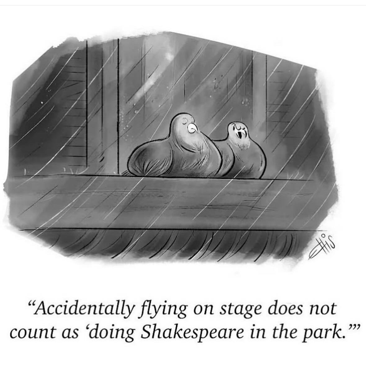 Pigeon: “Accidentally flying on stage does not count as ‘doing Shakespeare in the park.’”