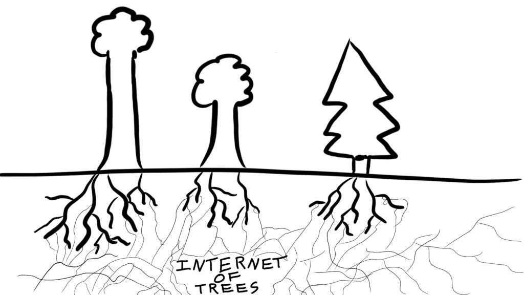 The Internet of Trees The Internet of Trees