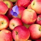 Getting Started in Obsidian