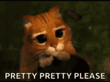 Pretty Please Puss In Boots GIF - Pretty Please Puss In Boots Shrek -  Discover & Share GIFs