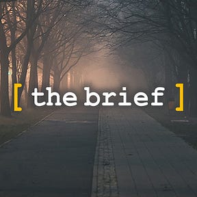 [the brief]