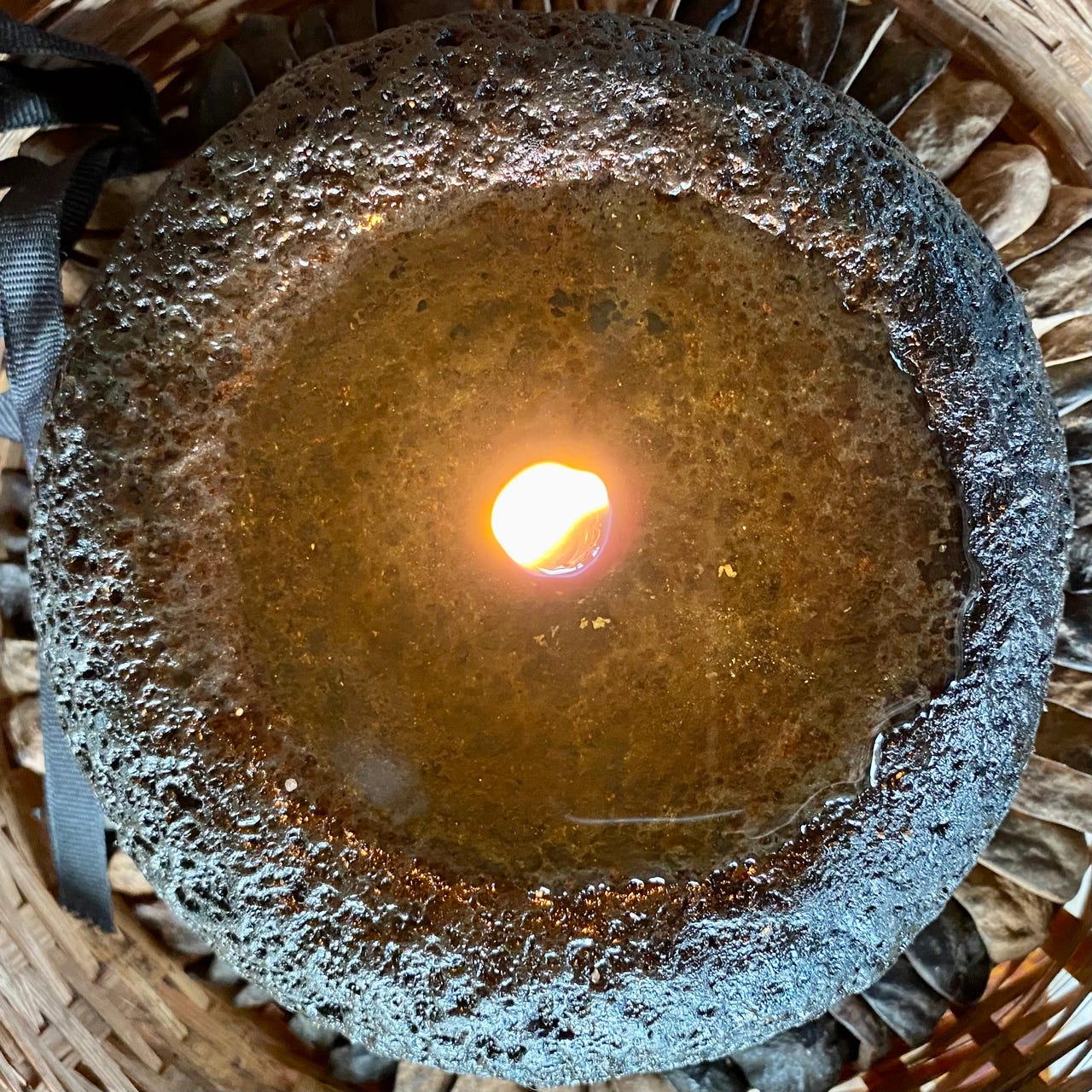 Golden Light Swimmer