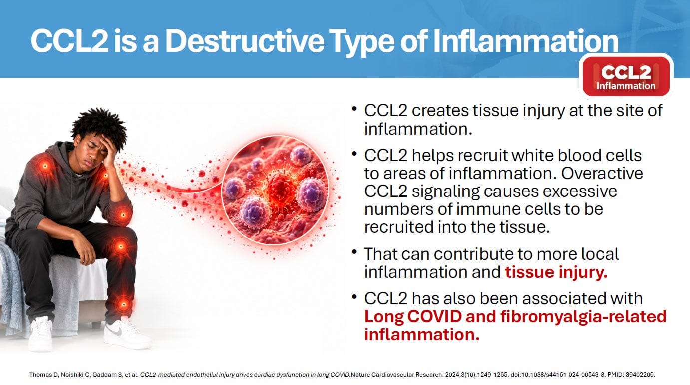CCL2 Is a Destructive Type of Inflammation
