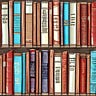 People Reading Things