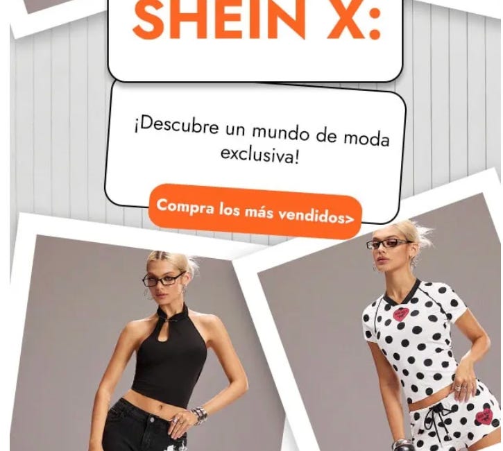 Un año (largo) con Shein