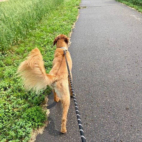 Images of Jordy through the last decade