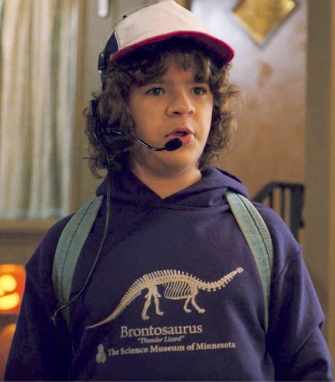 Dustin Henderson | Stranger Things Wiki | Fandom