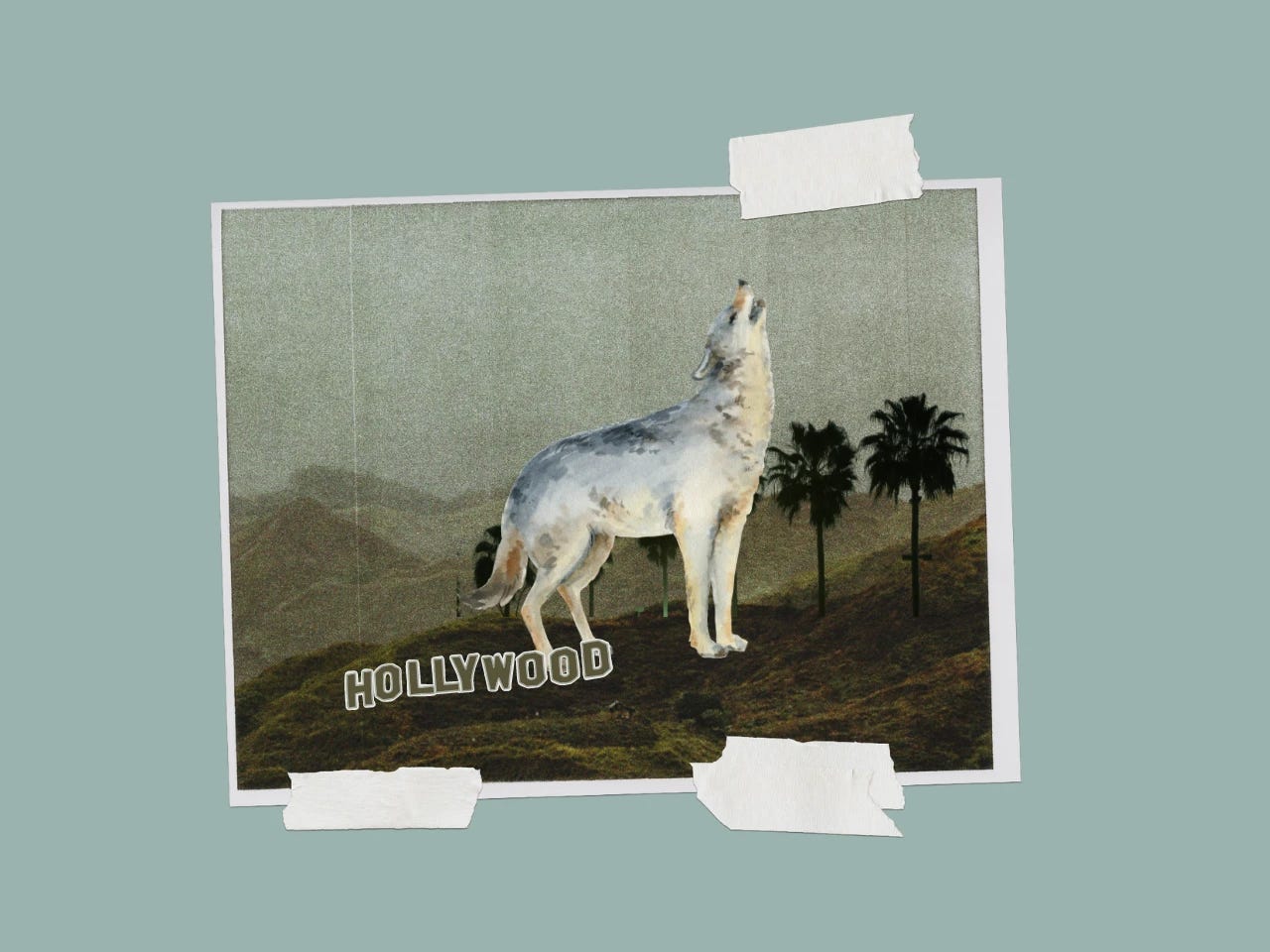 Hero-Poet Wolf Found Thousands of Miles From Homeland, Dead Hero-Poet Wolf Found Thousands of Miles From Homeland, Dead
