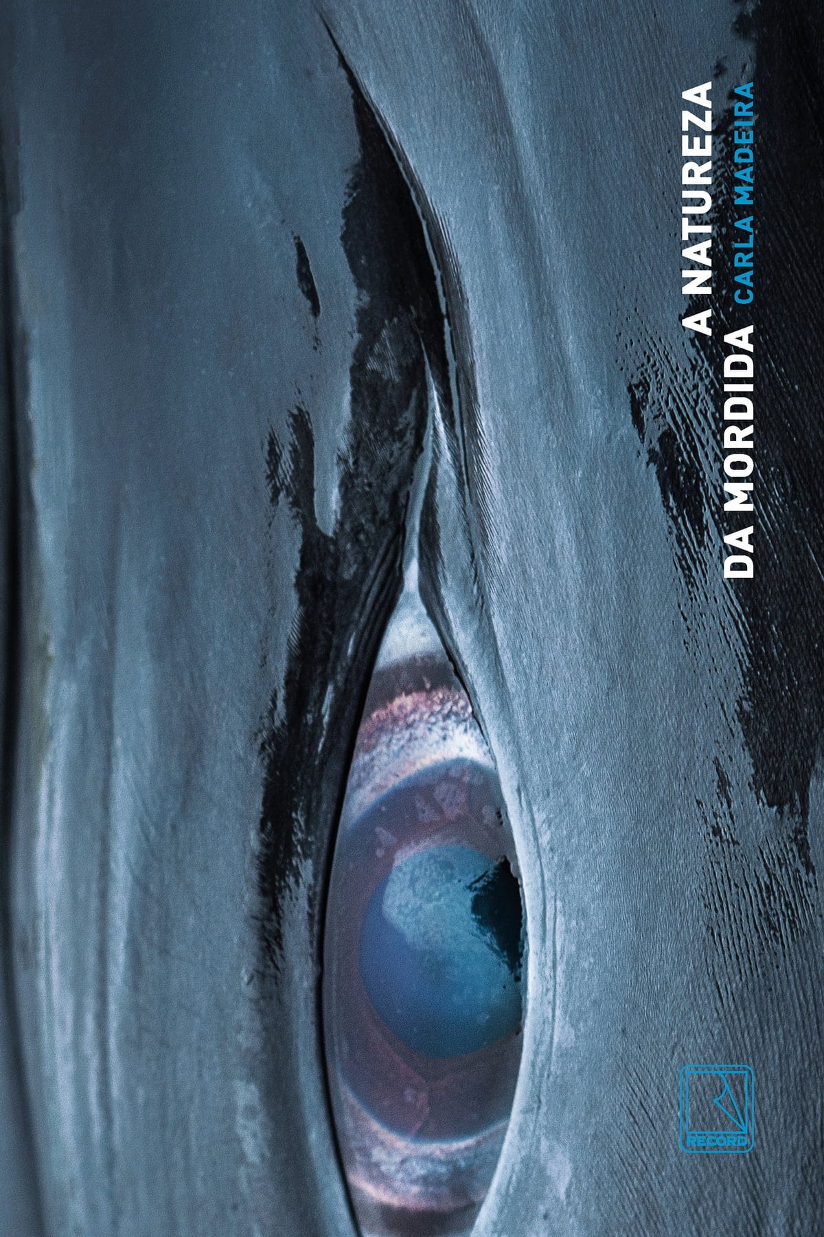 Capa azul com pintura abstrata do "A Natureza Mordida" de Carla Madeira