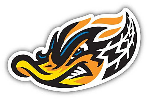 Amazon.com: Akron RubberDucks Duck MiLB Baseball Logo Head Vinyl Art  Graphic Sticker Bumper Decal : Electronics