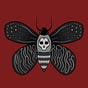 Metamorphosis Zine's avatar