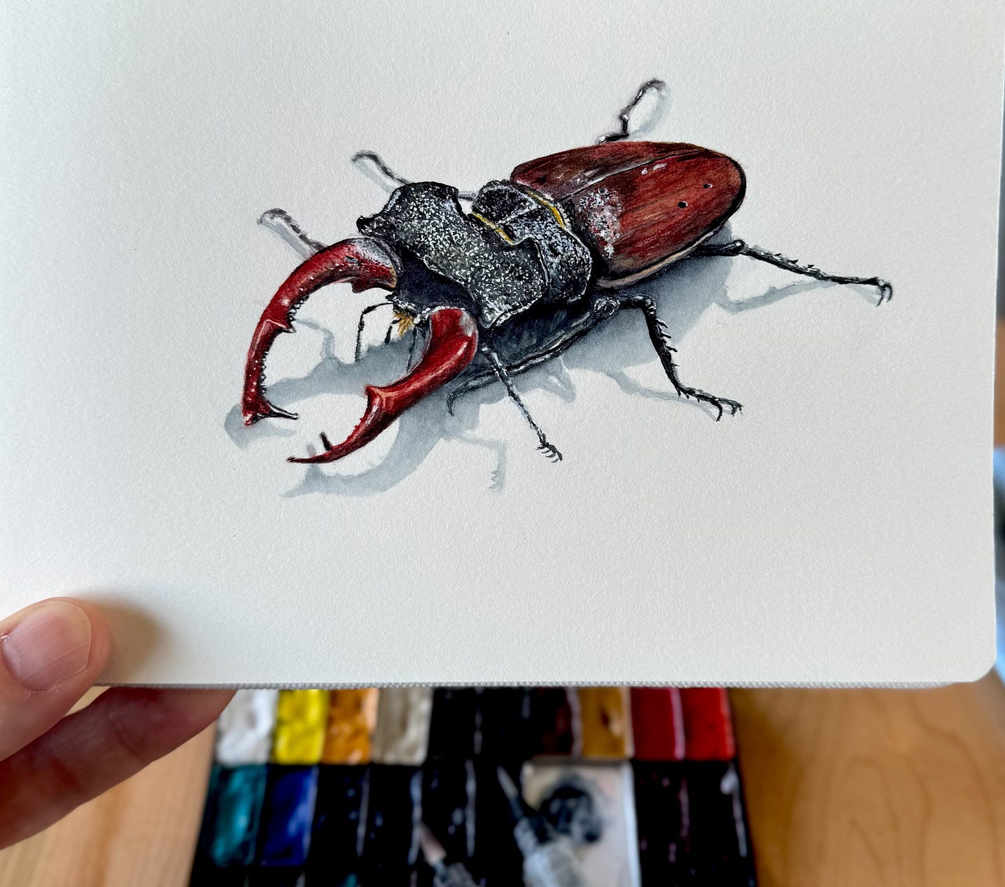A stag beetle in watercolour painted inside a sketchbook held up to a camera with a palette in the background