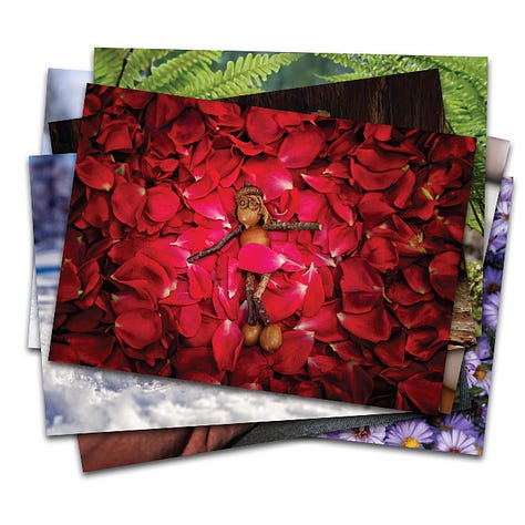 Nejžádanější dubánkoviny