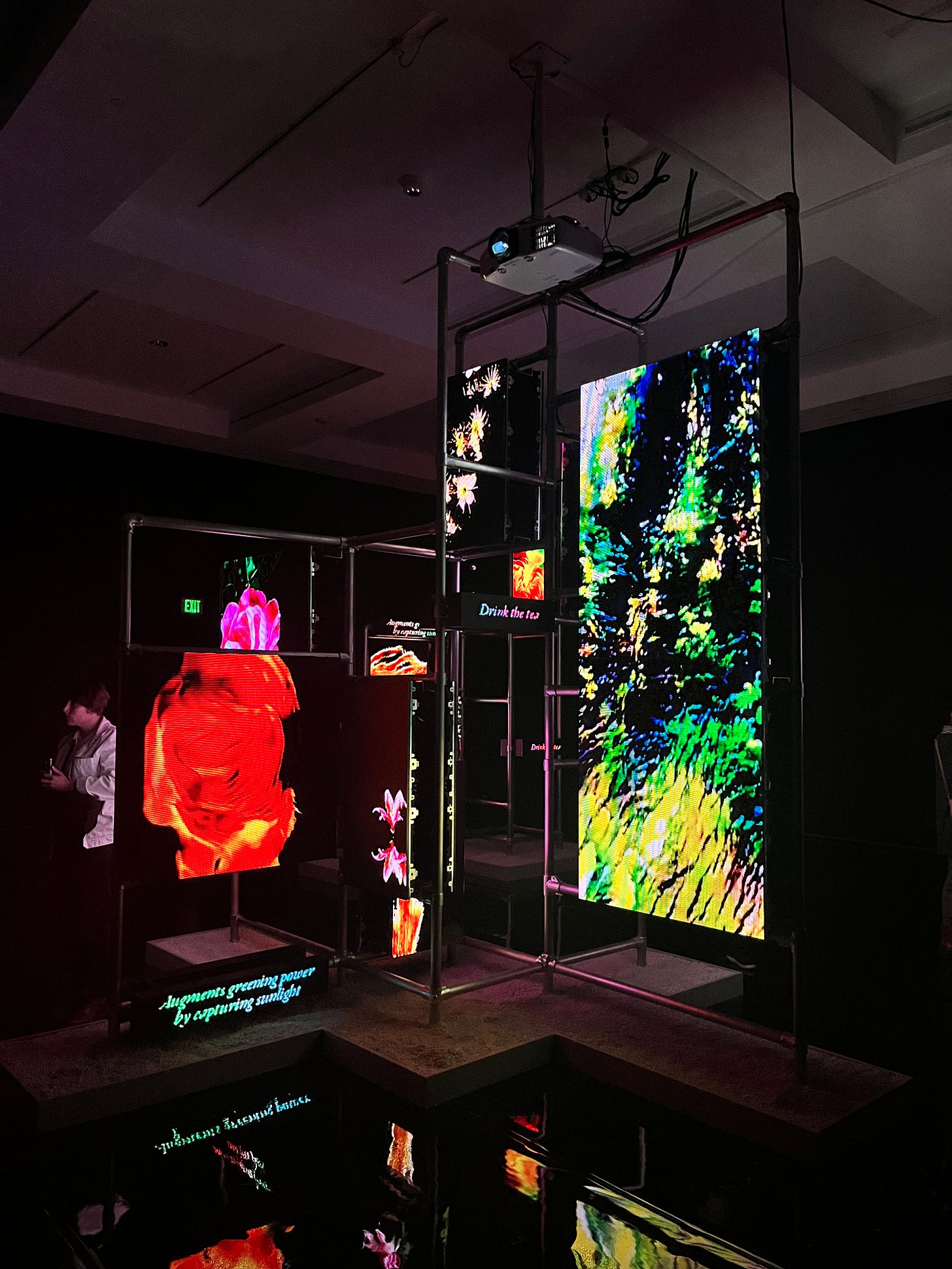 Installation view of Hito Steyerl's This is the Future. Multiple screens show AI generated views of plants and flowers.